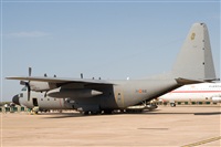 Miguel A. Snchez. Click to see full size photo
