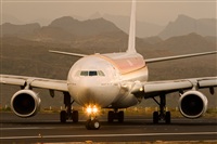 Javier de la Cruz - CANARY ISLANDS SPOTTING. Click to see full size photo