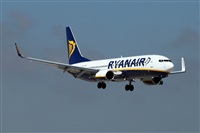 Nacho Rodriguez - Canary Islands Spotting. Click to see full size photo