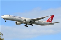 Ana L@dy Spotter. Click to see full size photo