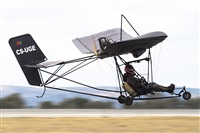 Rui Alves - Madeira Spotters. Haz click para ampliar