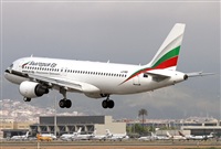 Jos Miguel Bernases - Noisy Spotters. Click to see full size photo