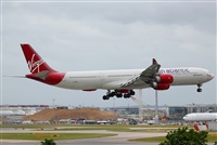 Rodrigo Carvalho - Noisy Spotters. Click to see full size photo