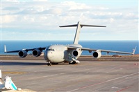 ©Luciano Fumero( freedom spotter)canary island spotting. Click to see full size photo ©Luciano Fumero( freedom spotter)canary island spotting. Click to see full size photo