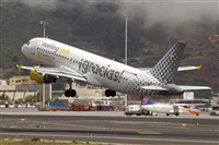 Javier de la Cruz - CANARY ISLANDS SPOTTING. Click to see full size photo