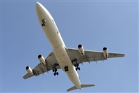 Miguel Martin Cordeiro - Iberian Spotters. Haz click para ampliar