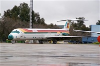 H.volar. Click to see full size photo