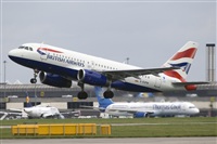 Javier de la Cruz - CANARY ISLANDS SPOTTING. Click to see full size photo
