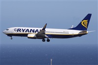 Alfonso Sols - Asociacin Canary Islands Spotting. Click to see full size photo