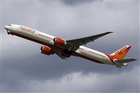Javier de la Cruz - CANARY ISLANDS SPOTTING. Click to see full size photo