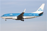 Miguel Alia - Noisy Spotters. Click to see full size photo