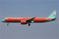 Miguel Alia - Noisy Spotters. Click to see full size photo