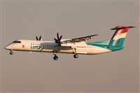 Javier de la Cruz - CANARY ISLANDS SPOTTING. Click to see full size photo