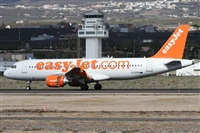 Alfonso Sols - Asociacin Canary Islands Spotting. Click to see full size photo