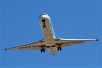 J. Victor Vega-Gran Canaria Spotters. Click to see full size photo