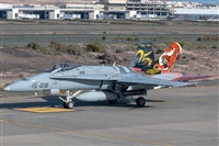 Bartolom Fernndez - Gran Canaria Spotters. Click to see full size photo