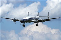 Javier Bozzino Barbudo. Click to see full size photo