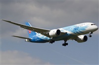 Rubn Gil - Noisy Spotters. Click to see full size photo