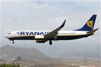Nacho Rodriguez - Canary Islands Spotting. Click to see full size photo