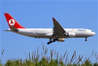 Josep Oll. Click to see full size photo