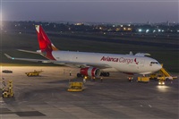 Naoto Goto - South American Spotters Asu-Py. Click to see full size photo