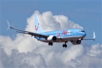 Bartolom Fernndez - Gran Canaria Spotters. Click to see full size photo