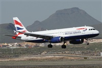 Alfonso Sols - Asociacin Canary Islands Spotting. Click to see full size photo