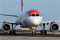 Saimon J Rodriguez   -   Canary Islands Spotting. Haz click para ampliar