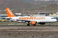 Alfonso Sols - Asociacin Canary Islands Spotting. Click to see full size photo