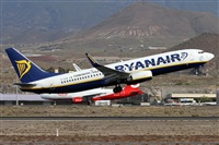 ©Alfonso Solís - Asociación Canary Islands Spotting. Click to see full size photo ©Alfonso Solís - Asociación Canary Islands Spotting. Click to see full size photo