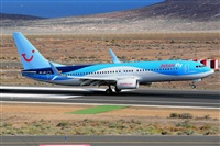 Miguel A. gueda Rguez.  (CANARY ISLANDS SPOTTING). Click to see full size photo