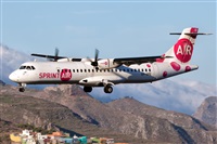 Javier de la Cruz - CANARY ISLANDS SPOTTING. Click to see full size photo