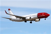 Alfonso Sols - Asociacin Canary Islands Spotting. Click to see full size photo