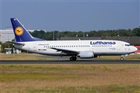 Miguel A. gueda Rguez.  (CANARY ISLANDS SPOTTING). Click to see full size photo