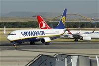 Nacho Rodriguez - Canary Islands Spotting. Click to see full size photo