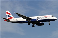 ©Alfonso Solís - Asociación Canary Islands Spotting. Click to see full size photo ©Alfonso Solís - Asociación Canary Islands Spotting. Click to see full size photo