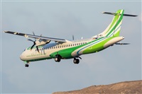 ©Adolfo Bento - Gran Canaria Spotters. Click to see full size photo ©Adolfo Bento - Gran Canaria Spotters. Click to see full size photo