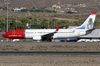 ©Alfonso Solís - Asociación Canary Islands Spotting. Click to see full size photo ©Alfonso Solís - Asociación Canary Islands Spotting. Click to see full size photo