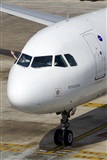©Saimon J Rodriguez - Canary Islands Spotting. Click to see full size photo ©Saimon J Rodriguez - Canary Islands Spotting. Click to see full size photo