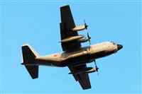 Florencio Martn Melin - Lanzarote Spotters. Click to see full size photo
