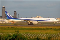 Miguel A. gueda Rguez.  (CANARY ISLANDS SPOTTING). Click to see full size photo