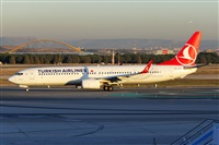 Nacho Rodriguez - Canary Islands Spotting. Click to see full size photo