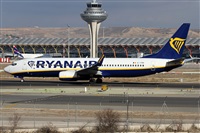 Alfonso Sols - Asociacin Canary Islands Spotting. Click to see full size photo