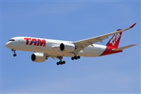 Miguel A. gueda Rguez.  (CANARY ISLANDS SPOTTING). Haz click para ampliar