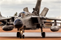 Javier de la Cruz - CANARY ISLANDS SPOTTING. Click to see full size photo