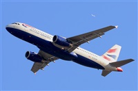 Miguel A. gueda Rguez.  (CANARY ISLANDS SPOTTING). Haz click para ampliar