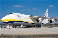 Tams. Click to see full size photo