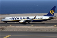 Alfonso Sols - Asociacin Canary Islands Spotting. Click to see full size photo