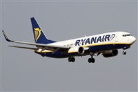 Alfonso Sols - Asociacin Canary Islands Spotting. Click to see full size photo