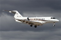 Alfonso Sols - Asociacin Canary Islands Spotting. Haz click para ampliar